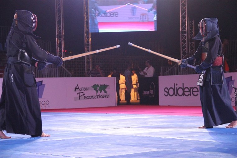 Martial Arts Festival